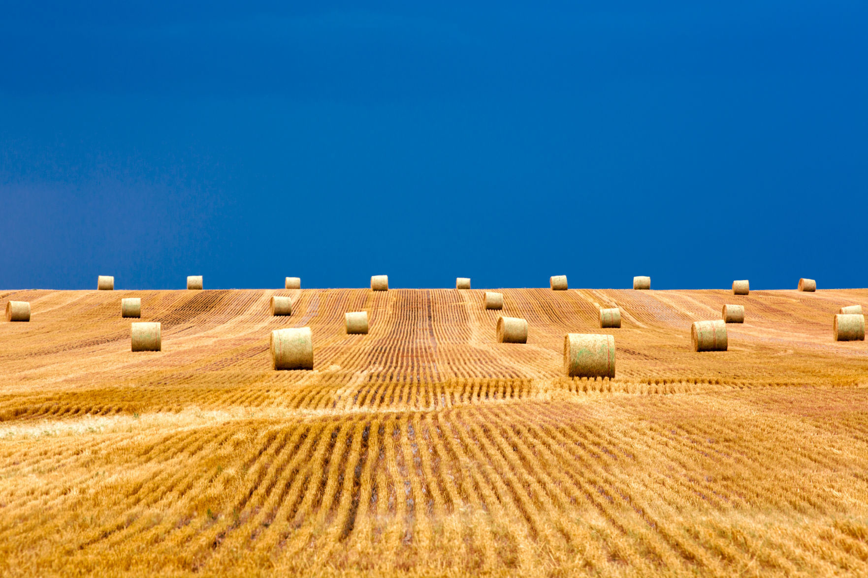 Bales on the storm